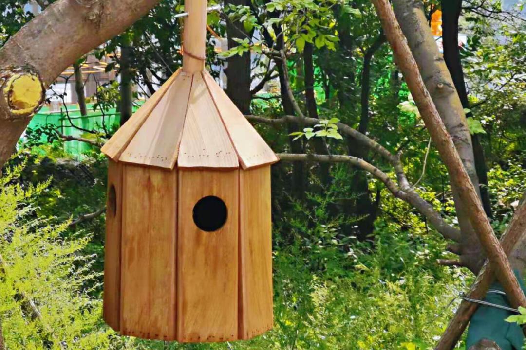 绿色办奥理念_冬奥会场馆建设_北京冬奥会场馆建设